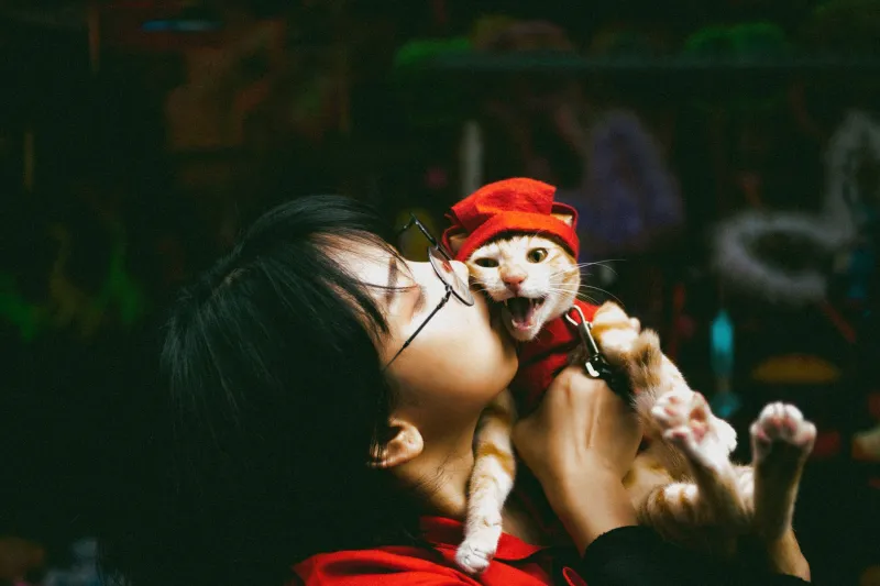 Dressed to Go Viral: How Tiny Anime Costumes Turned Your Cat Into a Full-Time Content Property